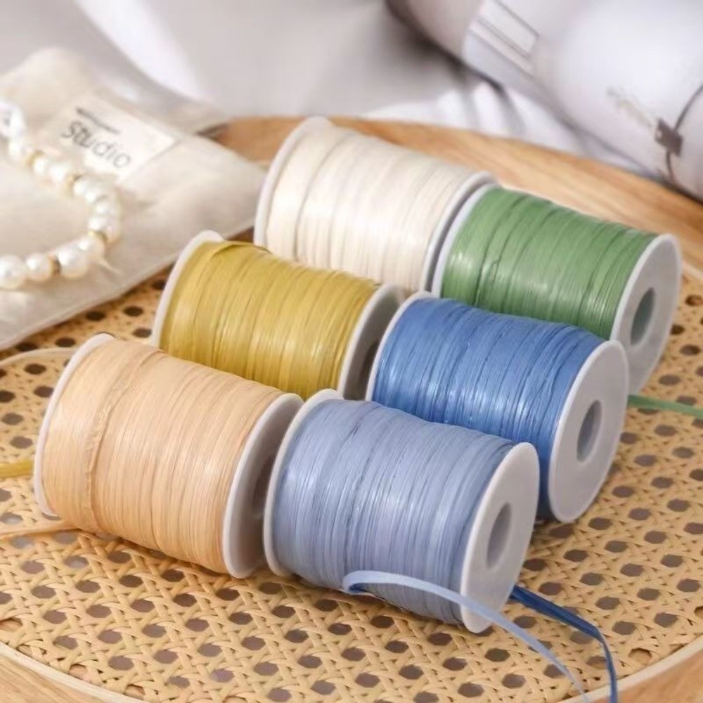 High Quality Premium Quality 1 - Crochet Bag Raffia review and price